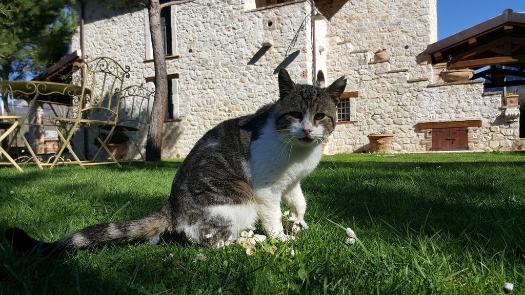 Agriturismo I Terzieri Ferentillo Buitenkant foto