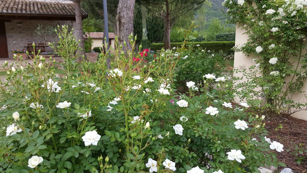 Agriturismo I Terzieri Ferentillo Buitenkant foto
